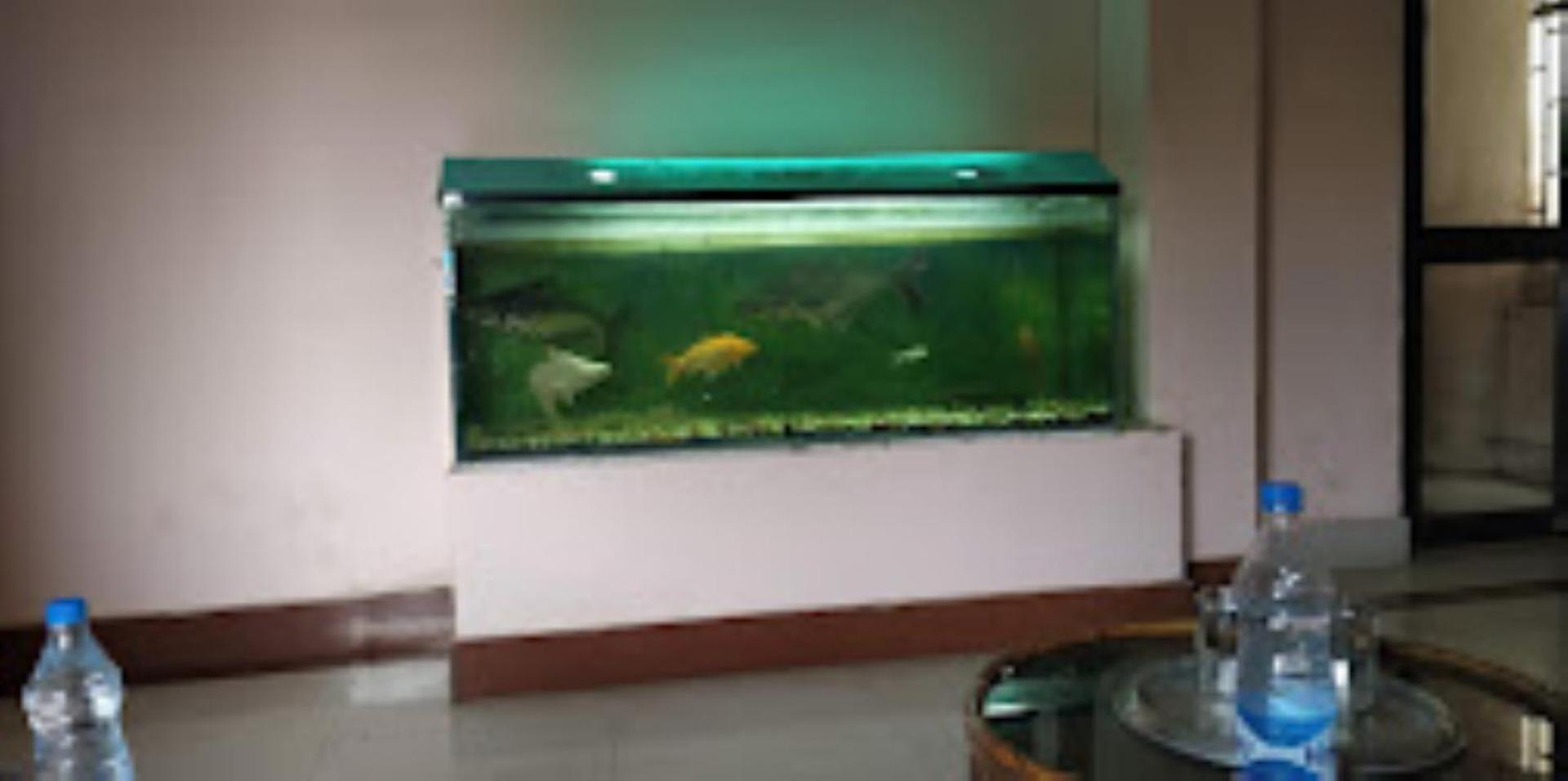 Hotel Blue Wheel,Bhubaneswar Eksteriør billede